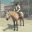 Western Horse Cowboy Simulator 1.6