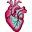 Fast Heart 1.3.5