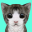 Cat Simulator Online