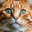 Cat Jigsaw - Classic Puzzle 1.19