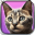 My Kitten (Cat Simulator) 4.2.1