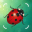 Insect Bug Spider Identifier 1.0.4