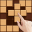 Block Puzzle-Wood Sudoku Game