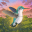 Bird Kind 0.77