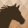 Horse Journal & Riding Tracker 1.7.0