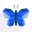 Morpho Converter 2.3.3