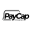 PayCap