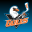 San Diego Gulls Hockey 24.4.1840