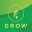 Melaleuca Grow