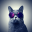 Cats Wallpapers 4K HQ Notch 1.1.5