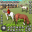 My Horse Simulator Horse Games