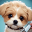 Pet Makeup Master 1.0.8