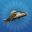 True Fishing 2 1.0.6